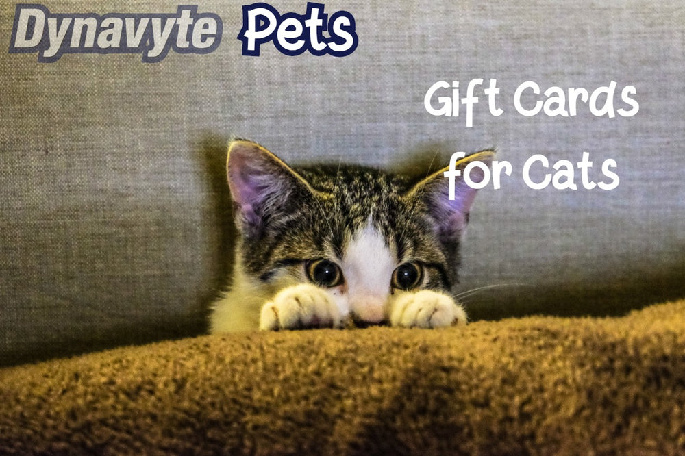 Gift Cards for Cats