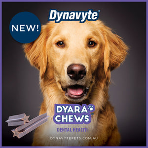 Dyara Dental Chews - Large Dogs 75g