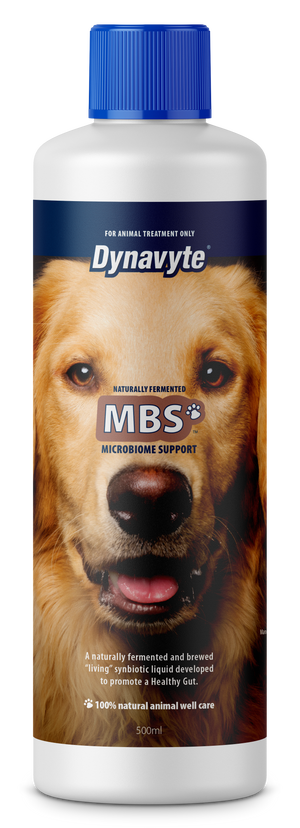 Big House Dog Mbs - 500Ml Healthy Gut