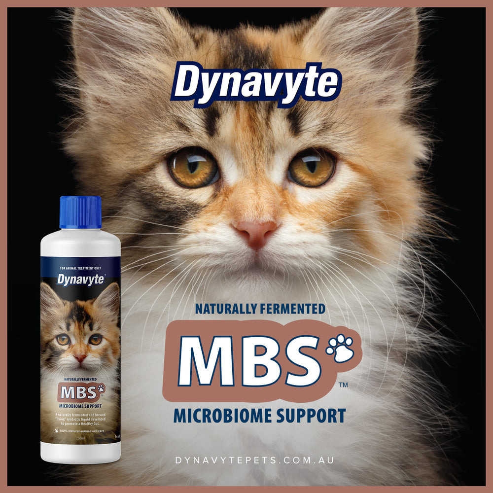 Clever Cat MBS - 250ML