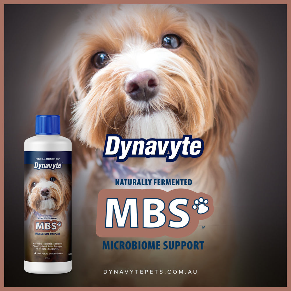 Small Dogs MBS - 250ML